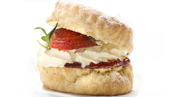 Pocklingtons Bakery